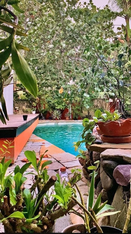 Manaya Bed & Breakfast Punta Cana Luaran gambar