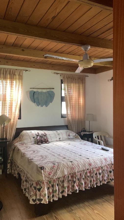 Manaya Bed & Breakfast Punta Cana Luaran gambar